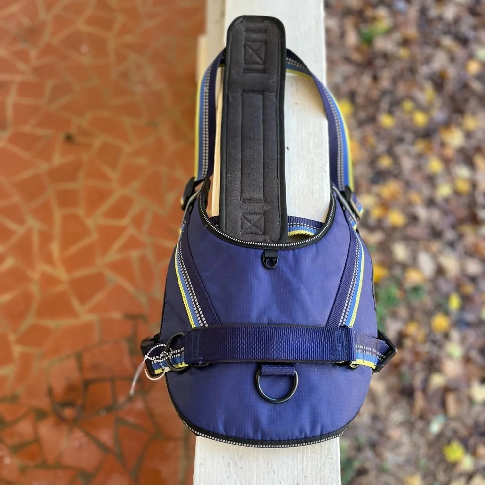 Head brand Blue Dog harness